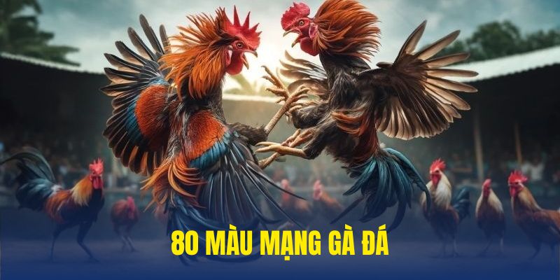 80 màu mạng đá gà