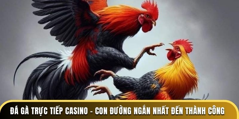 Đá gà trực tiếp casino