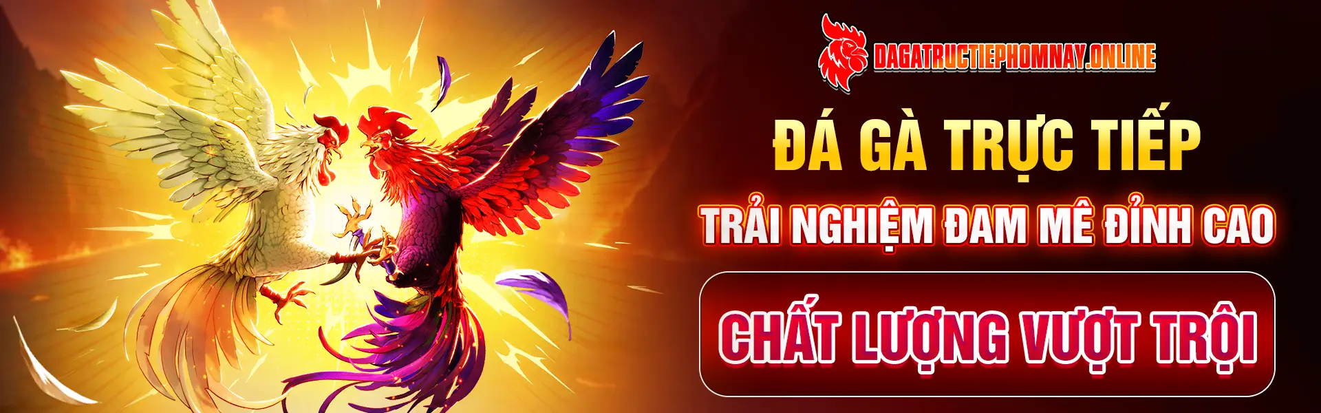 Đá gà trực tiếp trải nghiệm đam mê đỉnh cao